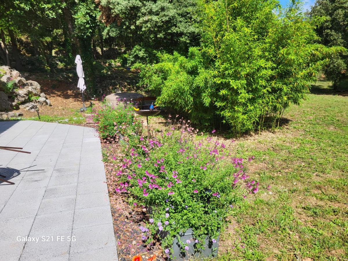 Un Ecrin De Verdure Et Plus.. Apartment Besse-sur-Issole